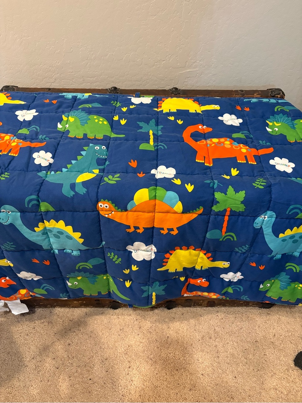 Kids' Blue Dinosaur Comforter Weighted Blanket - Fun Dino Print